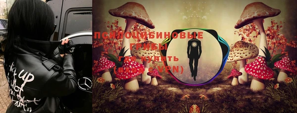 2c-b Богородск